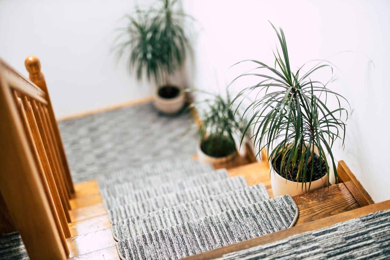 Гостевой дом Pension Gallery Брашов-14