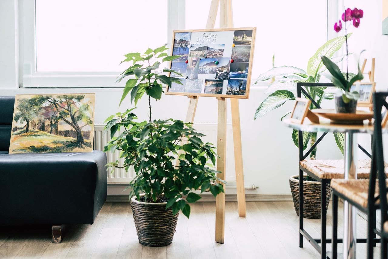 Гостевой дом Pension Gallery Брашов-20