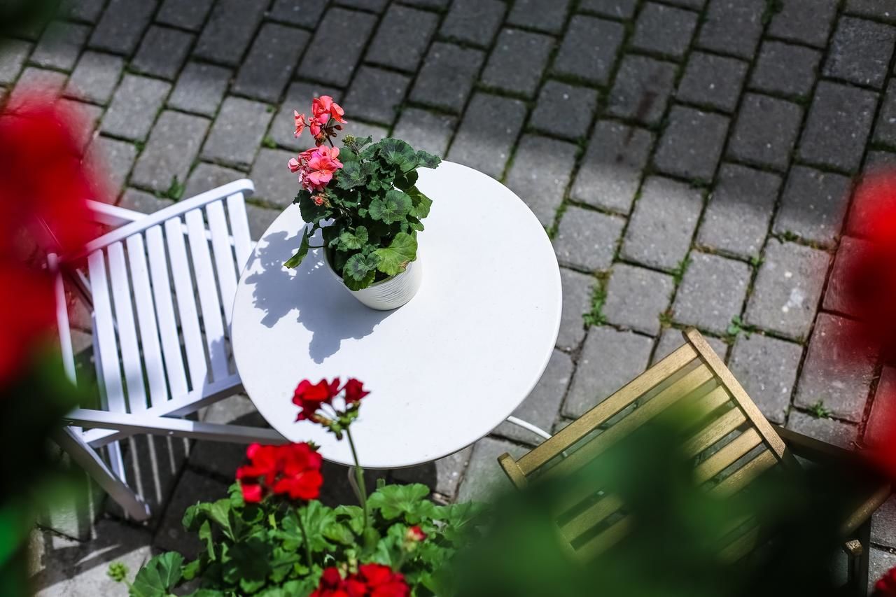 Гостевой дом Pension Gallery Брашов-30