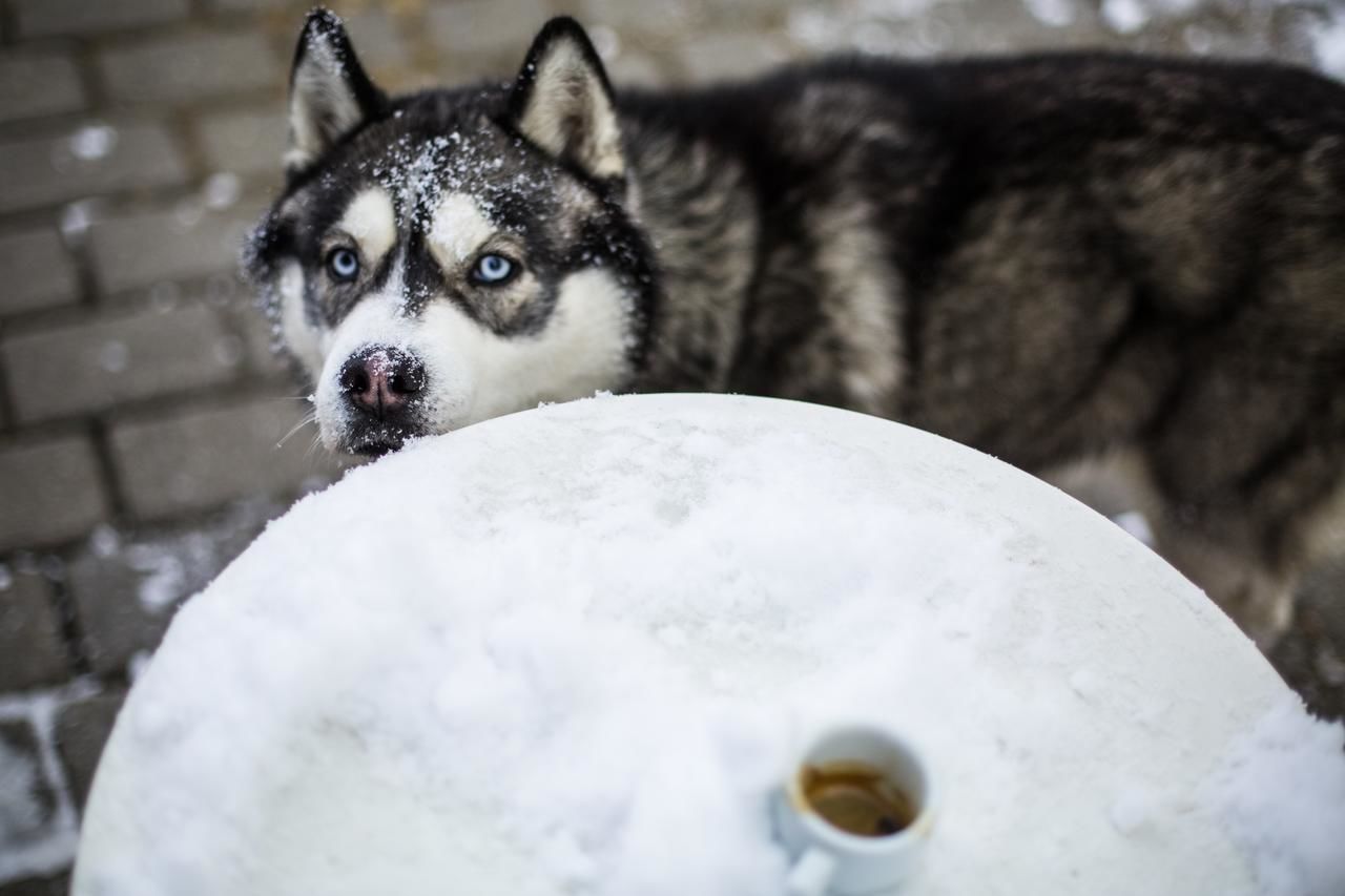 Гостевой дом Pension Gallery Брашов-33