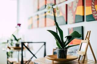 Гостевой дом Pension Gallery Брашов Двухместный номер с 2 отдельными кроватями-11