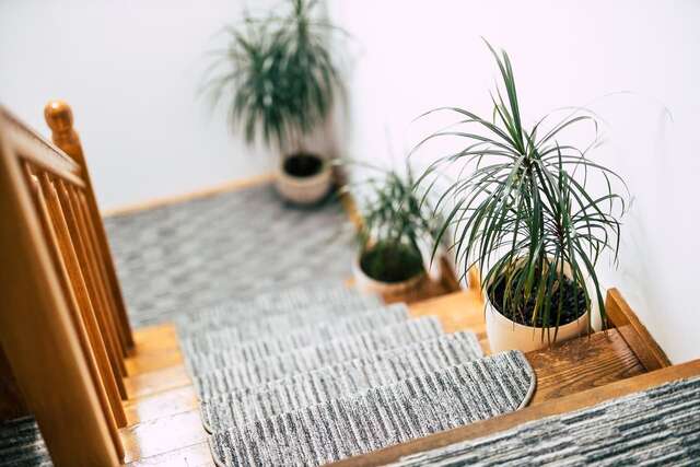 Гостевой дом Pension Gallery Брашов-13