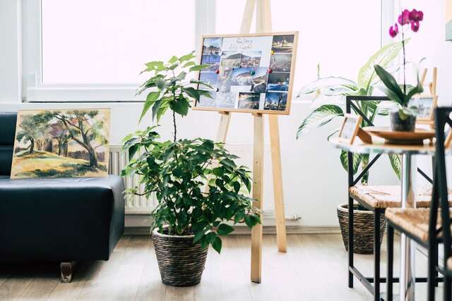 Гостевой дом Pension Gallery Брашов-19